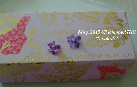 DSCF7437 DSCF7437