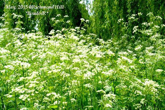DSCF7769