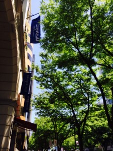 IMG_4526 表参道の新緑もキラキラしています♪
