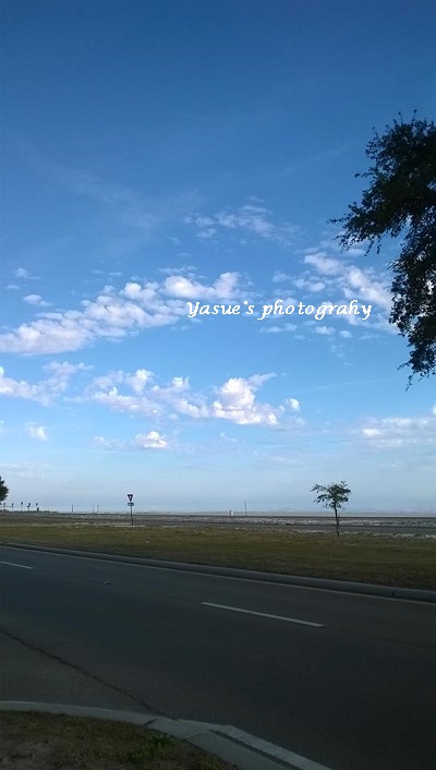 １gulf coast