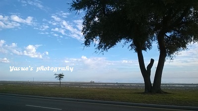gulf coast 2