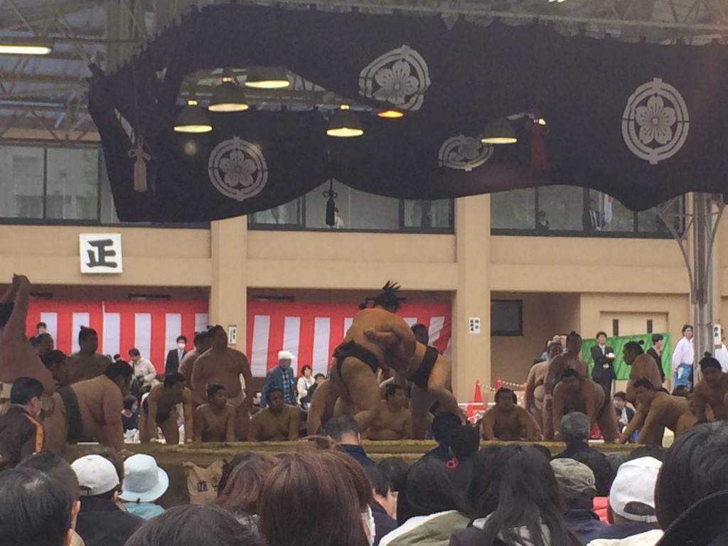 sumou1