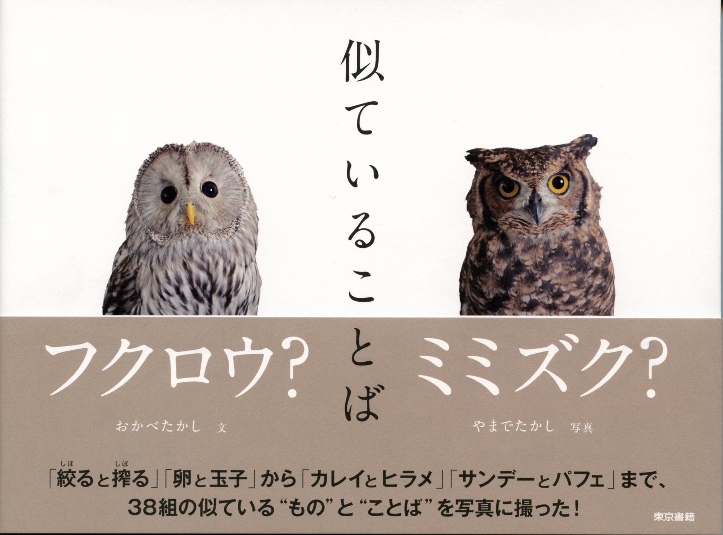 どっちがどっち!?『似ていることば』大人気シリーズ写真集