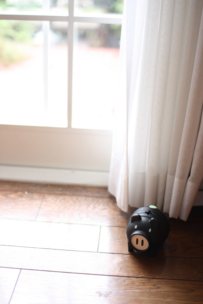 IMG_3271