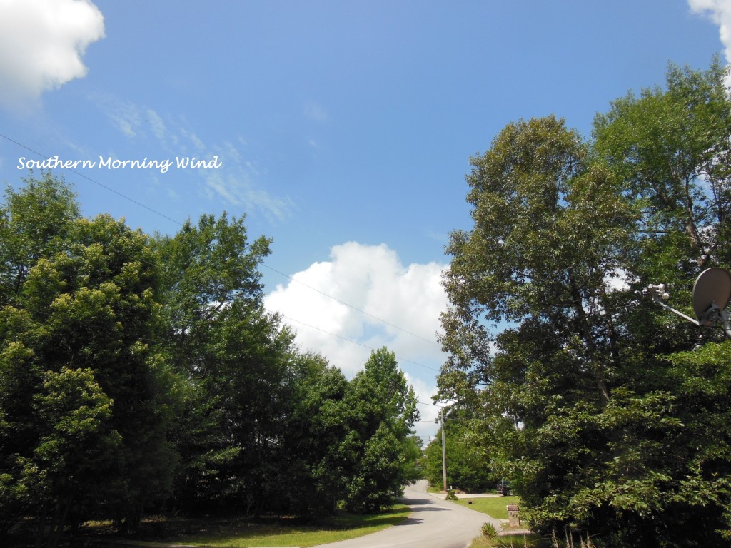 2015 Father's day morning