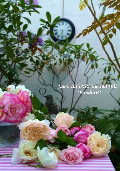 DSCF8717