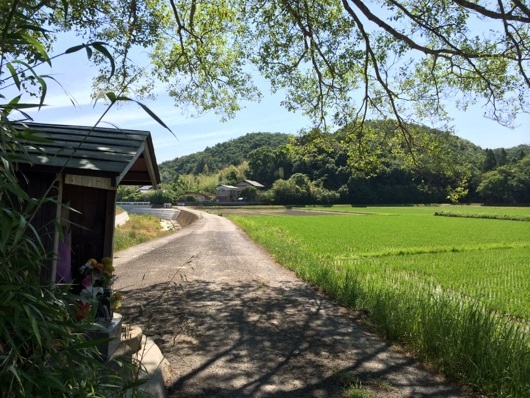 お地蔵様と田んぼ