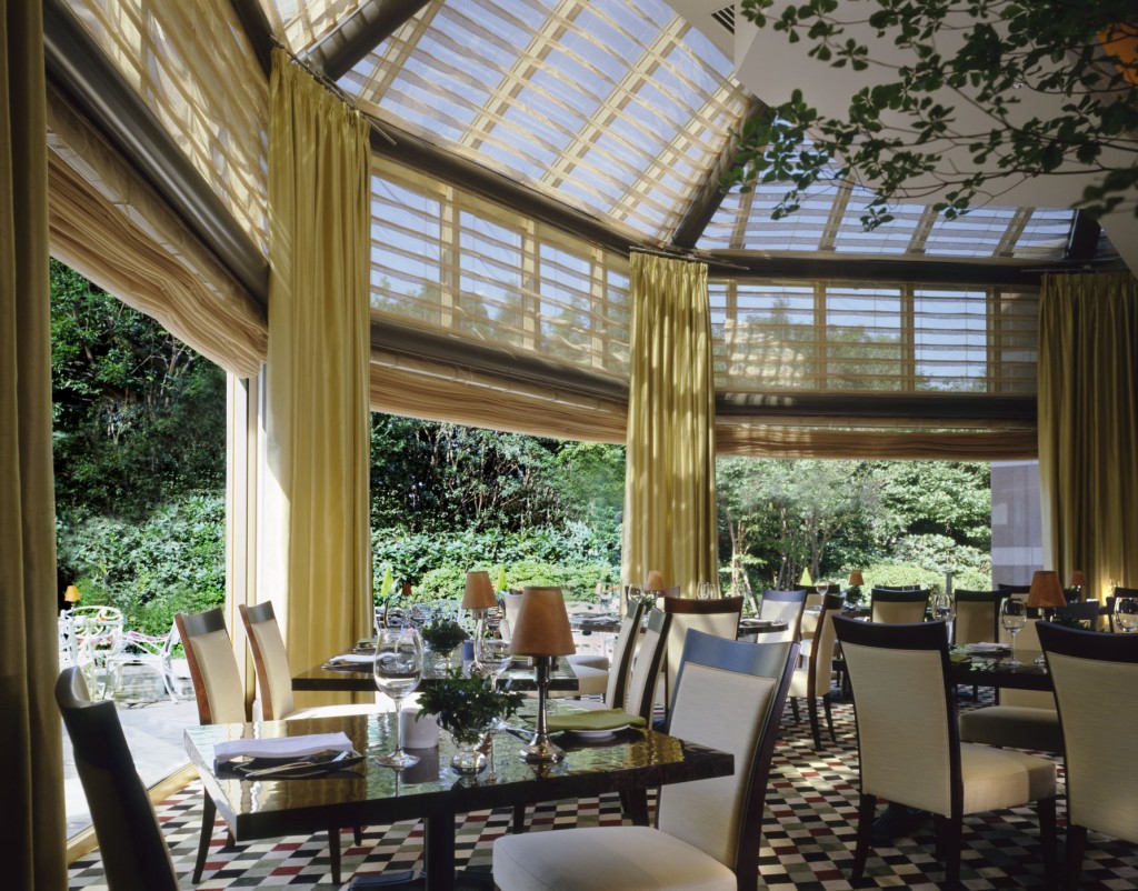 The Terrace