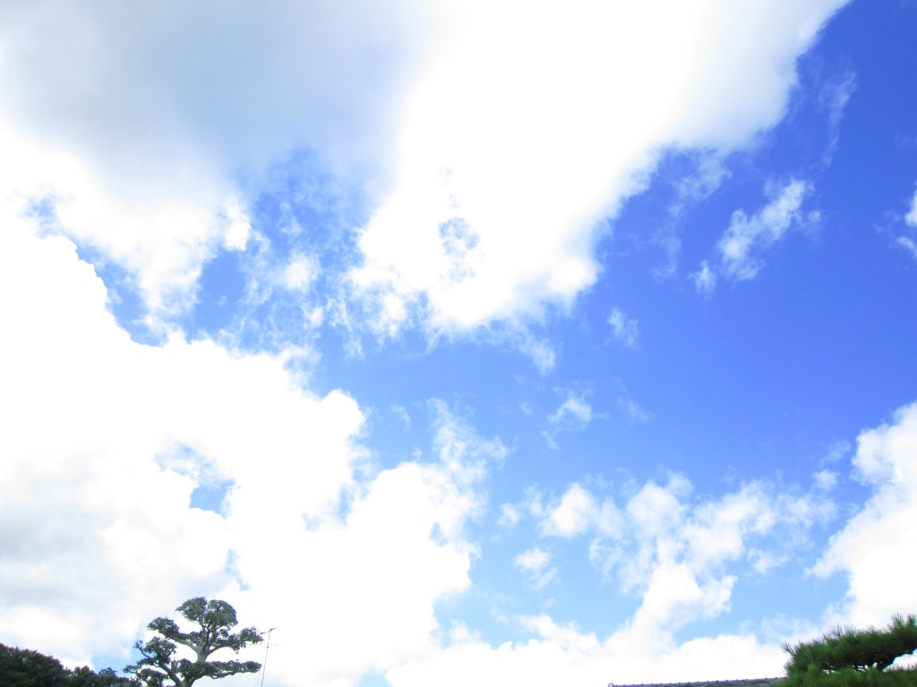 写真1(空)