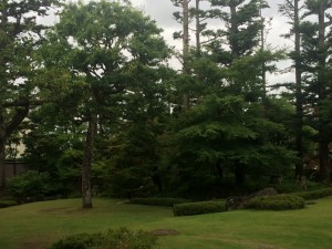 写真 4