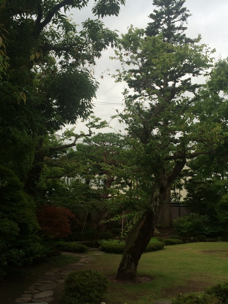 写真 3