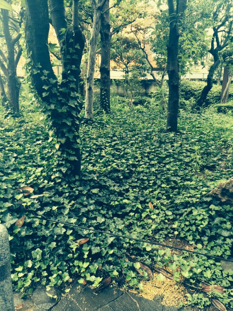 写真 2