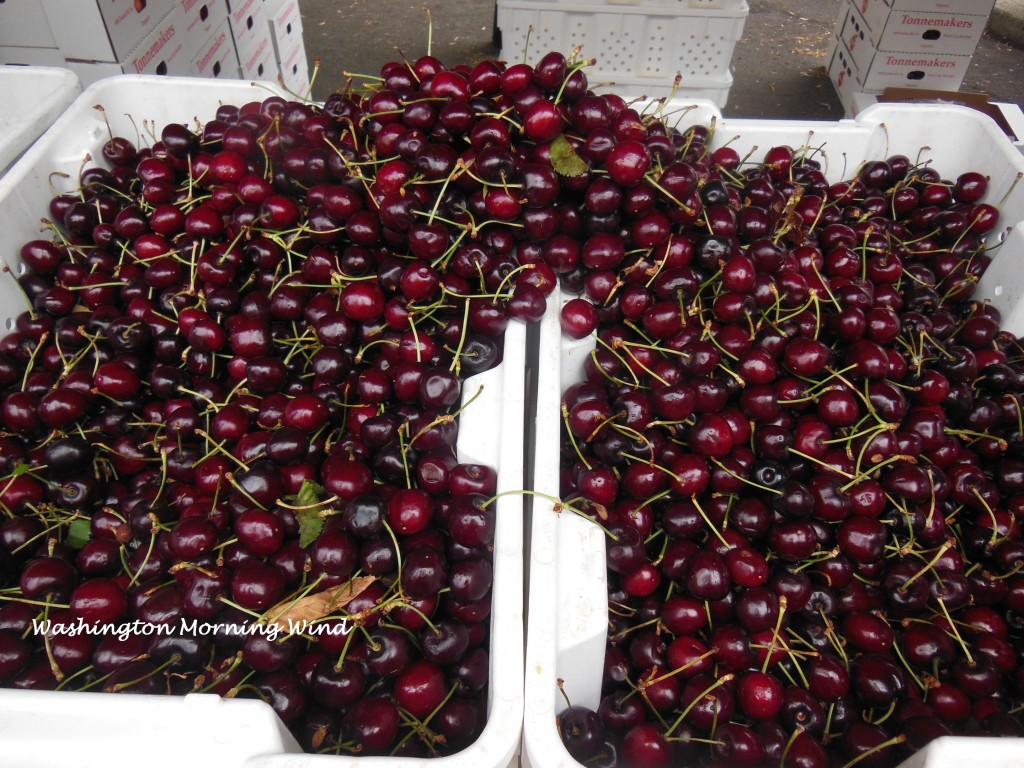 Farmers American cherry