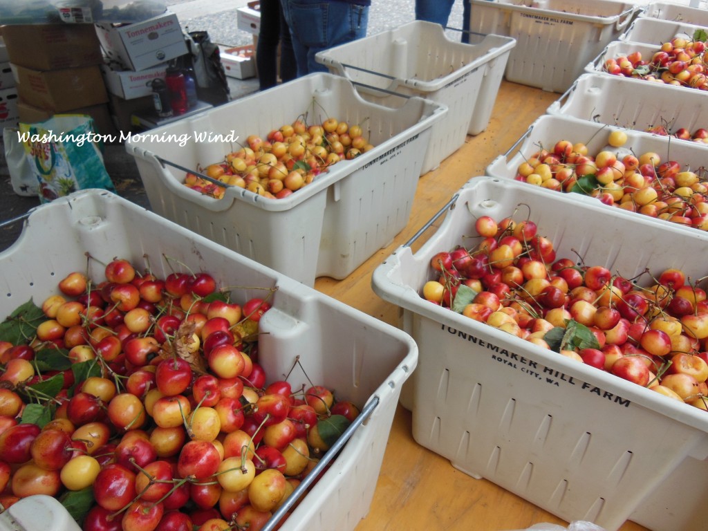 Farmers cherry1