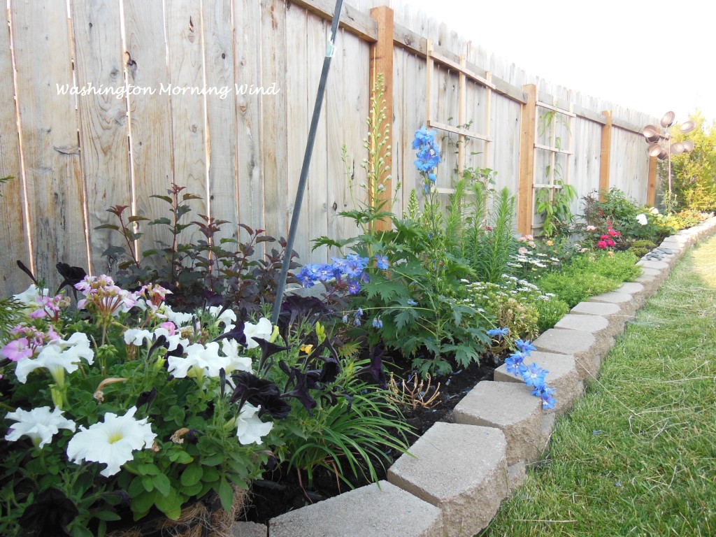 Ping's garden