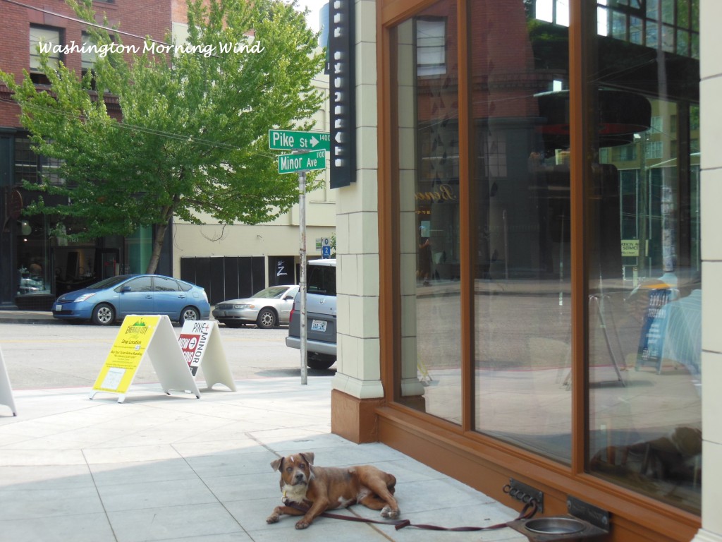 Seattle 011