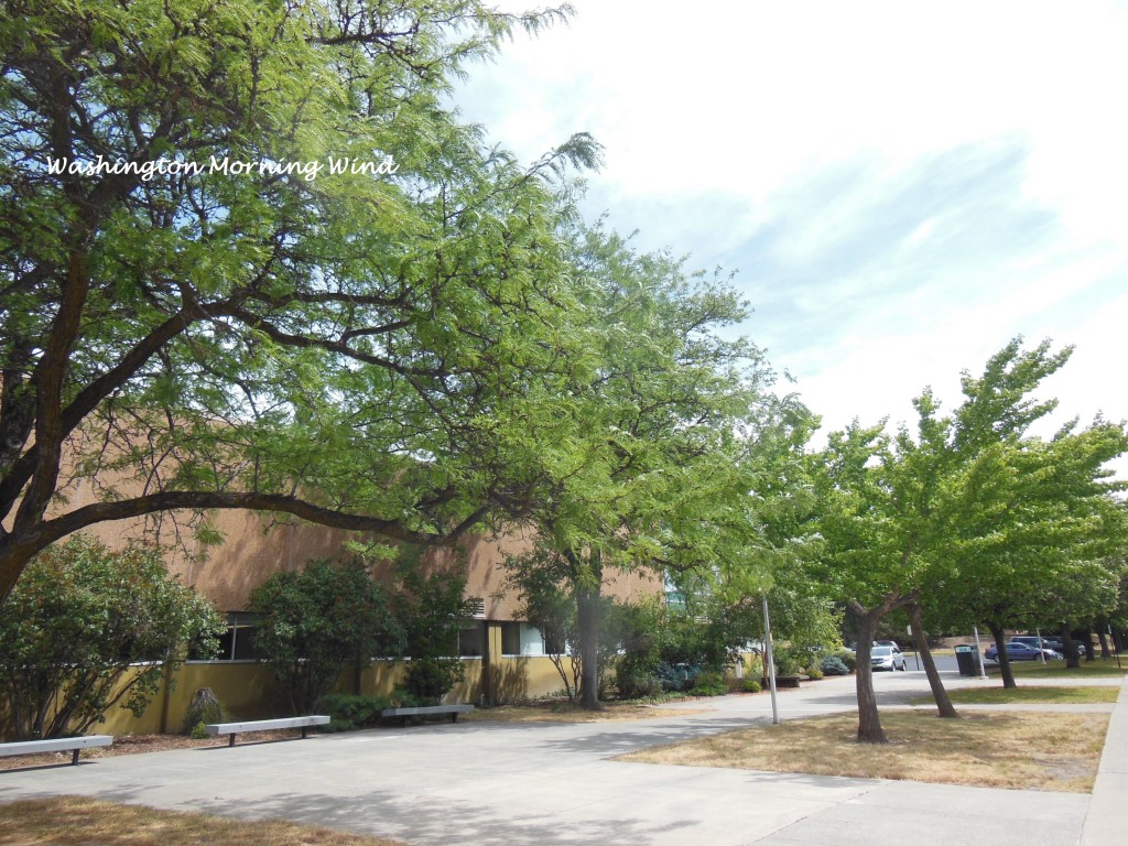 campus3 WSU