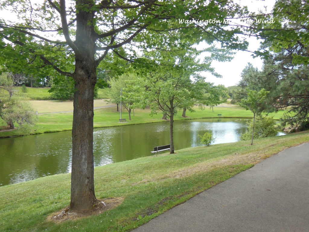 park lake