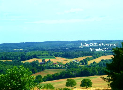 DSCF9682