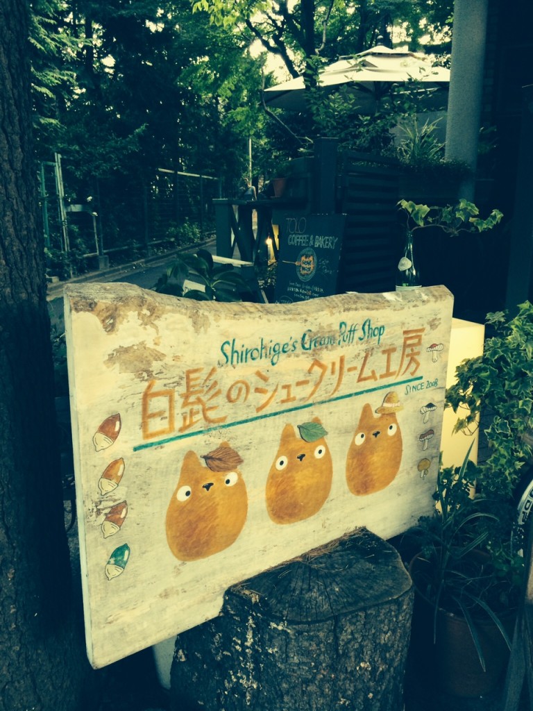 写真 1