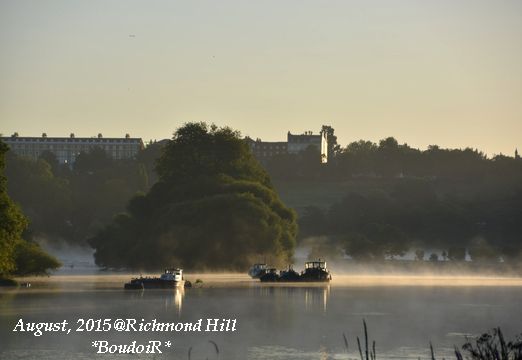 DSC_0111
