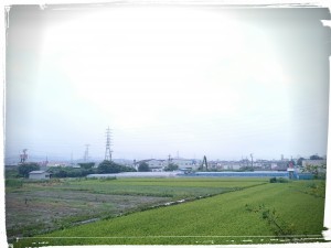 IMG_20150820_084558
