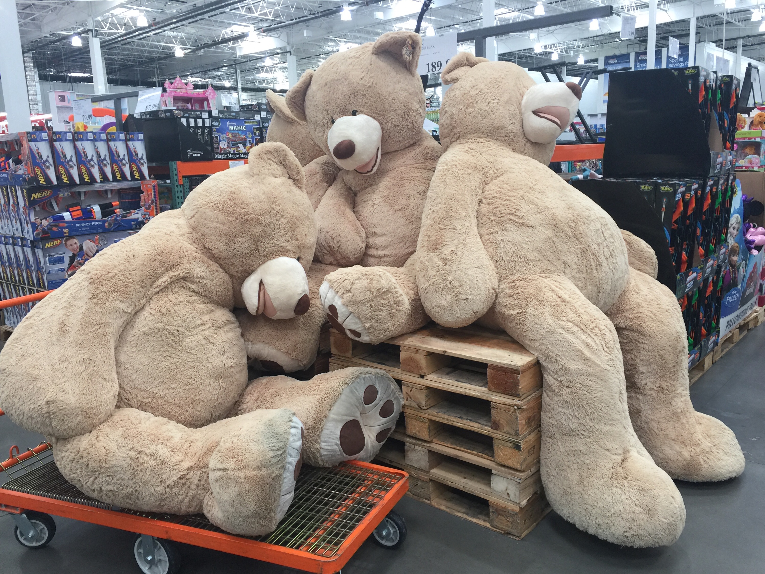 超デカい Bear🐻 をクリスマスプレゼントにいかが？
