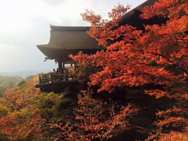 秋の京都は「朝」を楽しむべし！おすすめ紅葉スポット&朝食のお店