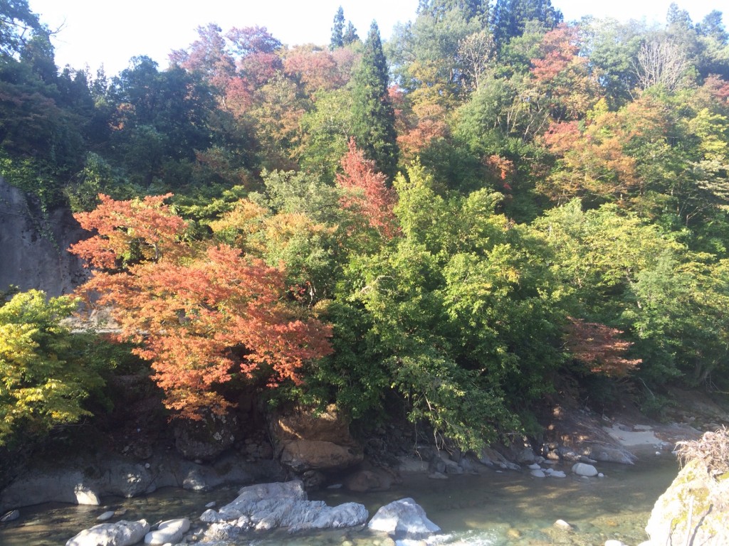 写真 1