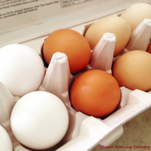 fresh eggs2