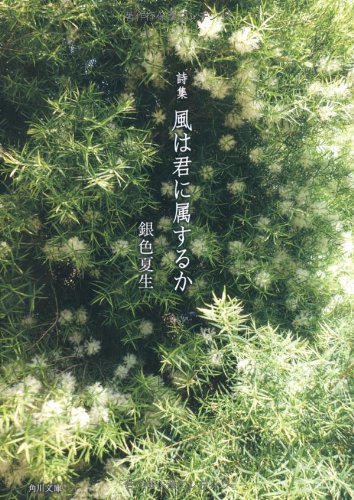 銀色夏生 ビター＆スイートな詩集