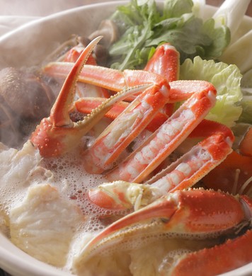5e18ba90d2a1c30.__520_390__r_