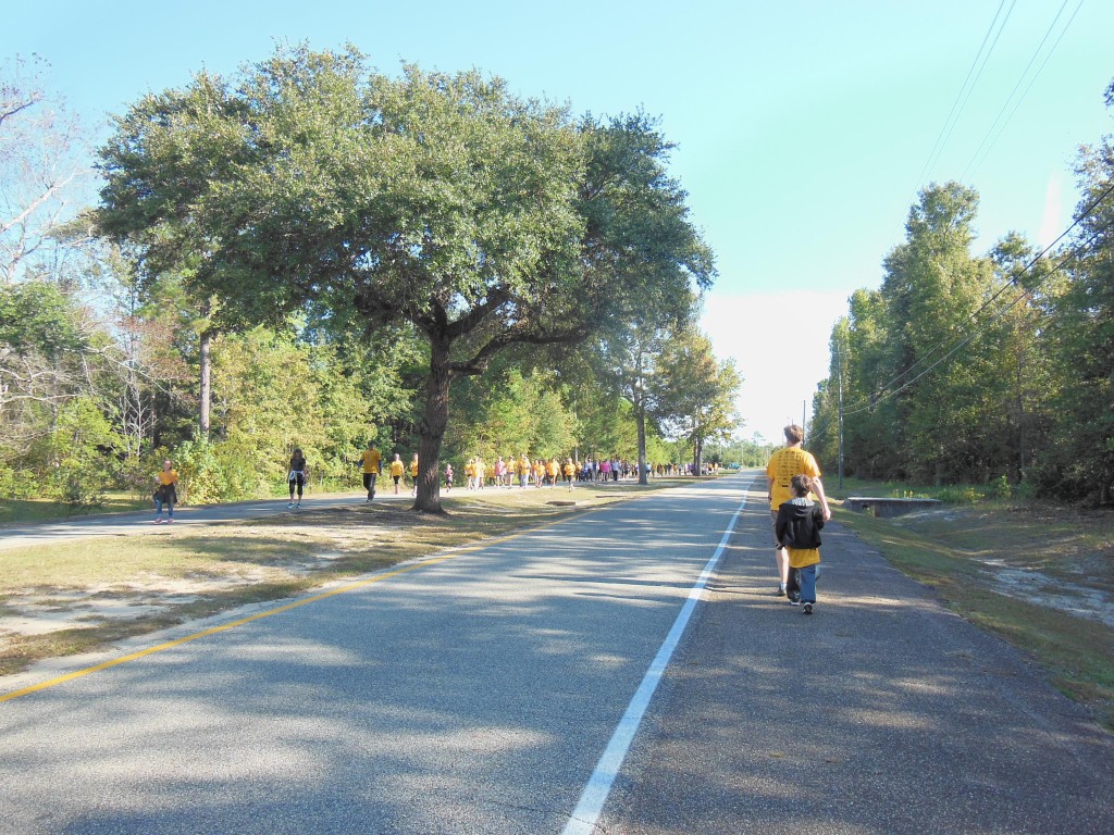 poeple walk
