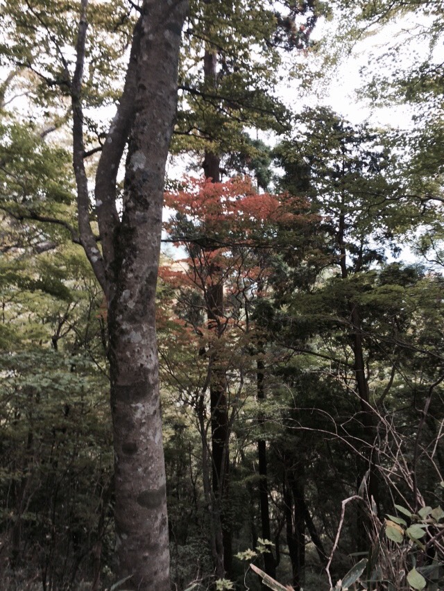 S__6995975