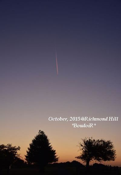 DSC_1332