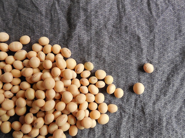 soybeans-182294_640