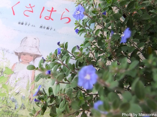 【日曜日の絵本】草の匂いと風の音、光あふれる絵本