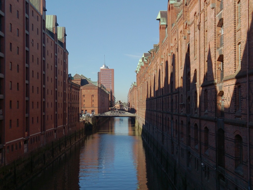 DSC_0441