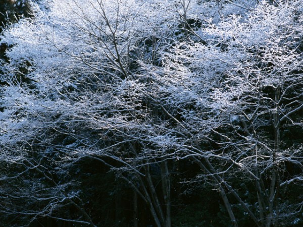 FA150_L