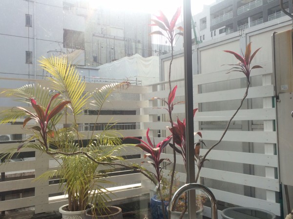 写真 3