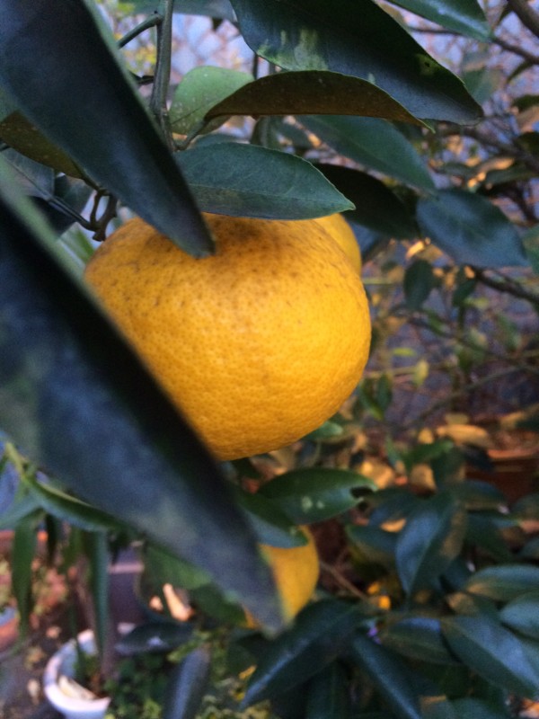 写真 2