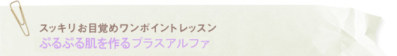 onepoint_back3