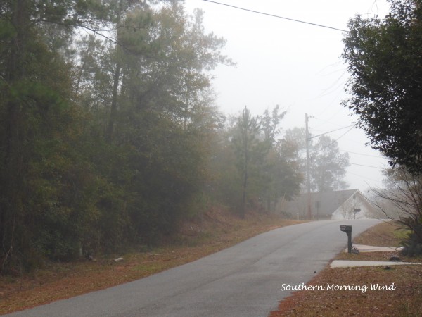 Feb1th fog