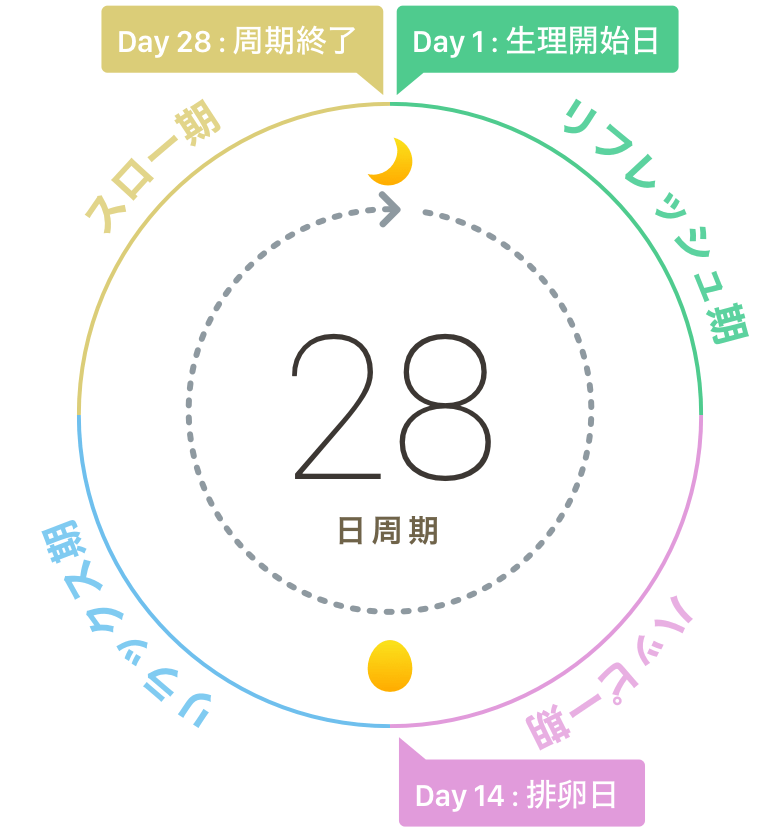 03-1_生理周期_Circle