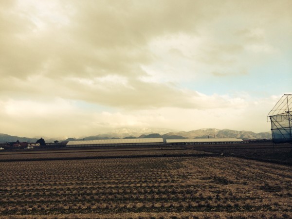 写真 1