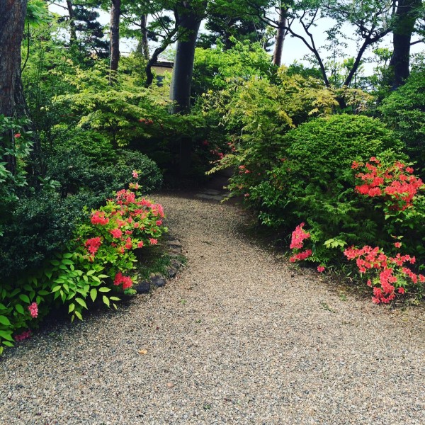 写真 4
