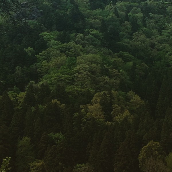 写真 4