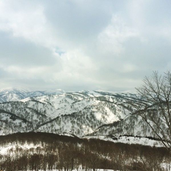 写真 2