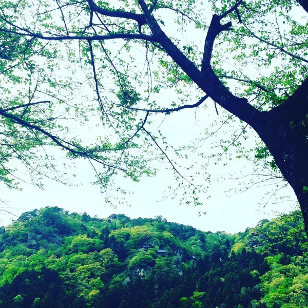 写真 5