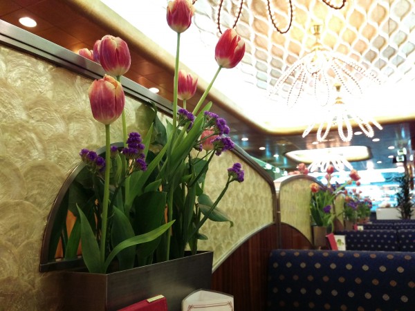 16-03-30-10-15-11-397_deco